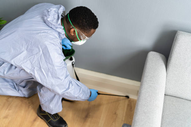 Best Residential Pest Control  in West Branch, MI